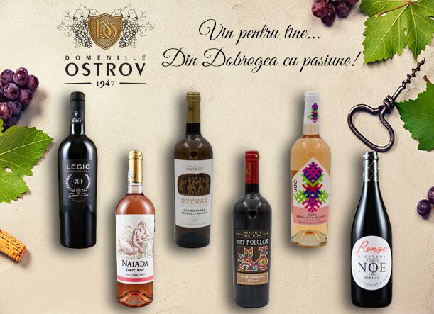 varianta-1-banner-site-copy